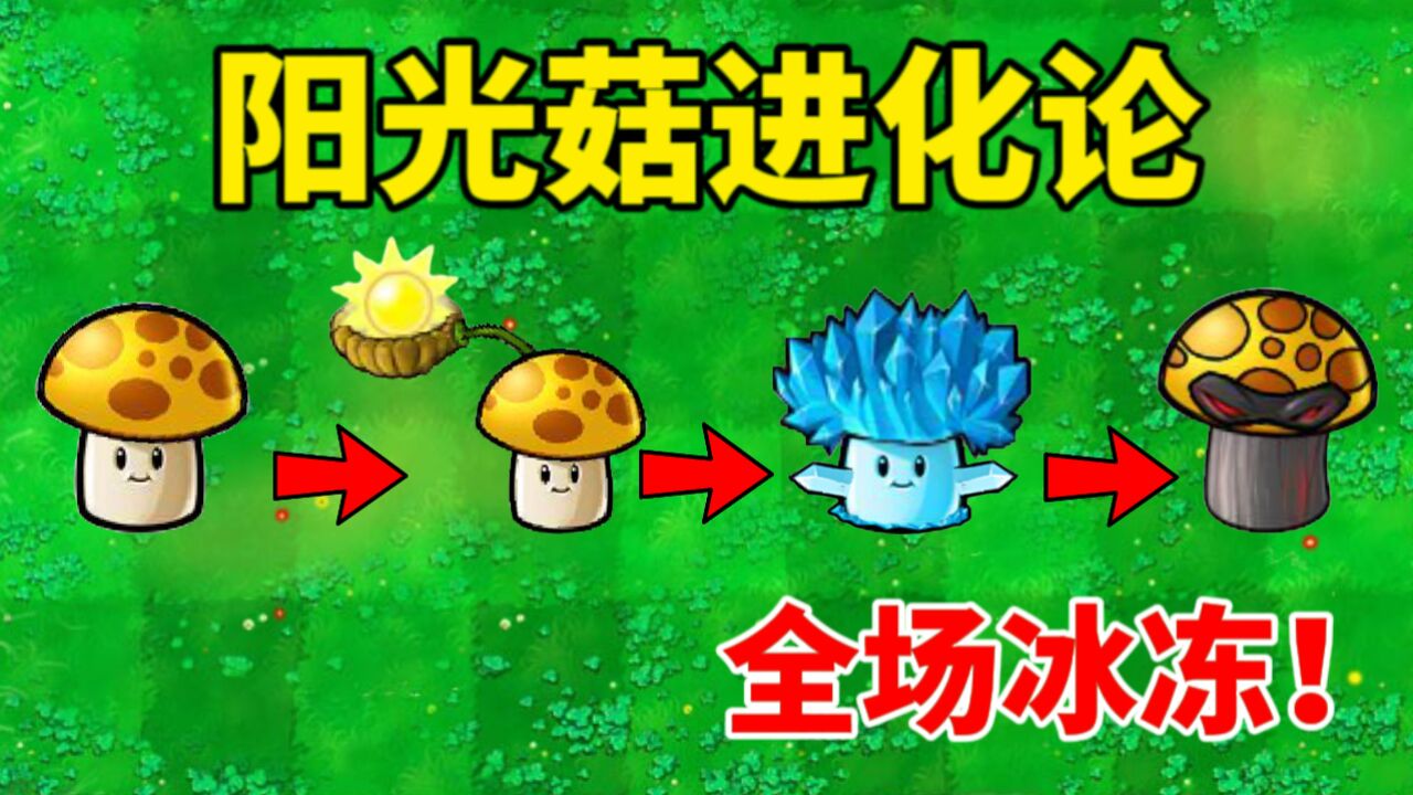 植物大战僵尸:阳光菇连吃3袋金坷垃!最终进化冰冻全场僵尸!