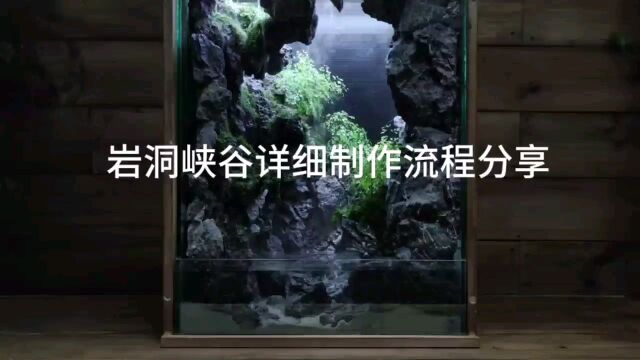 如何打造岩洞峡谷水陆缸?视频将一步步教你