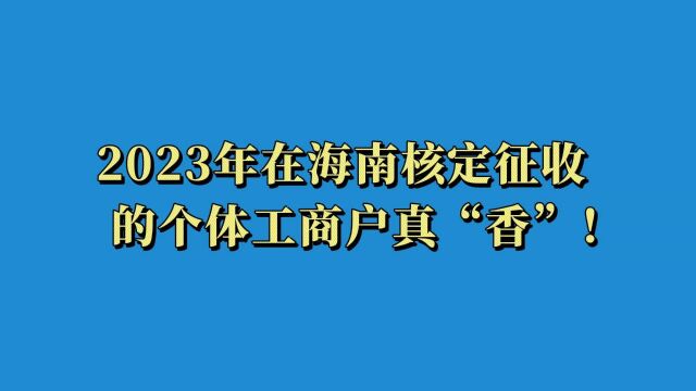 为啥那么多人在海南注册个体户?背后原因揭秘