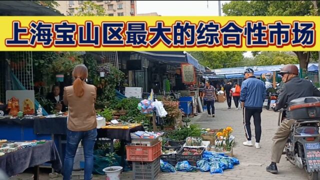 上海宝山区最大的综合性市场,花鸟鱼虫,五金小百货服饰等都有