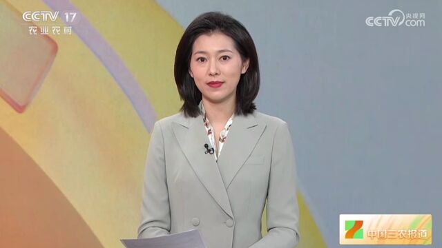 宣城这里,美上央视!