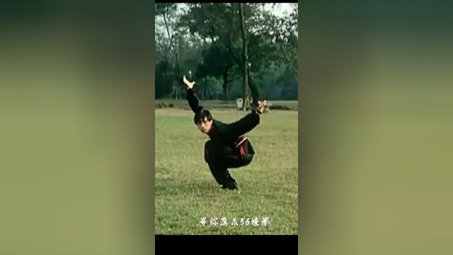 弘扬中华武术|中国传统武术鹰爪拳