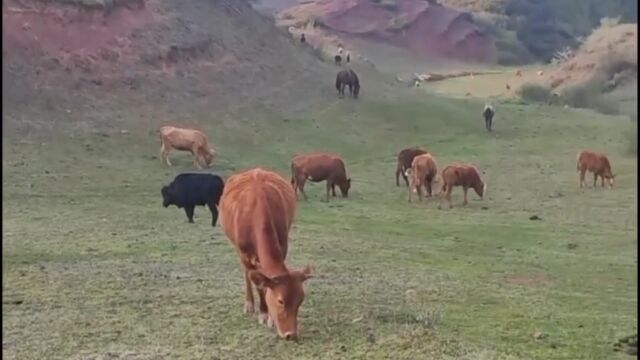 大山里的风景,美到我抛开烦恼,专注地欣赏眼前美景