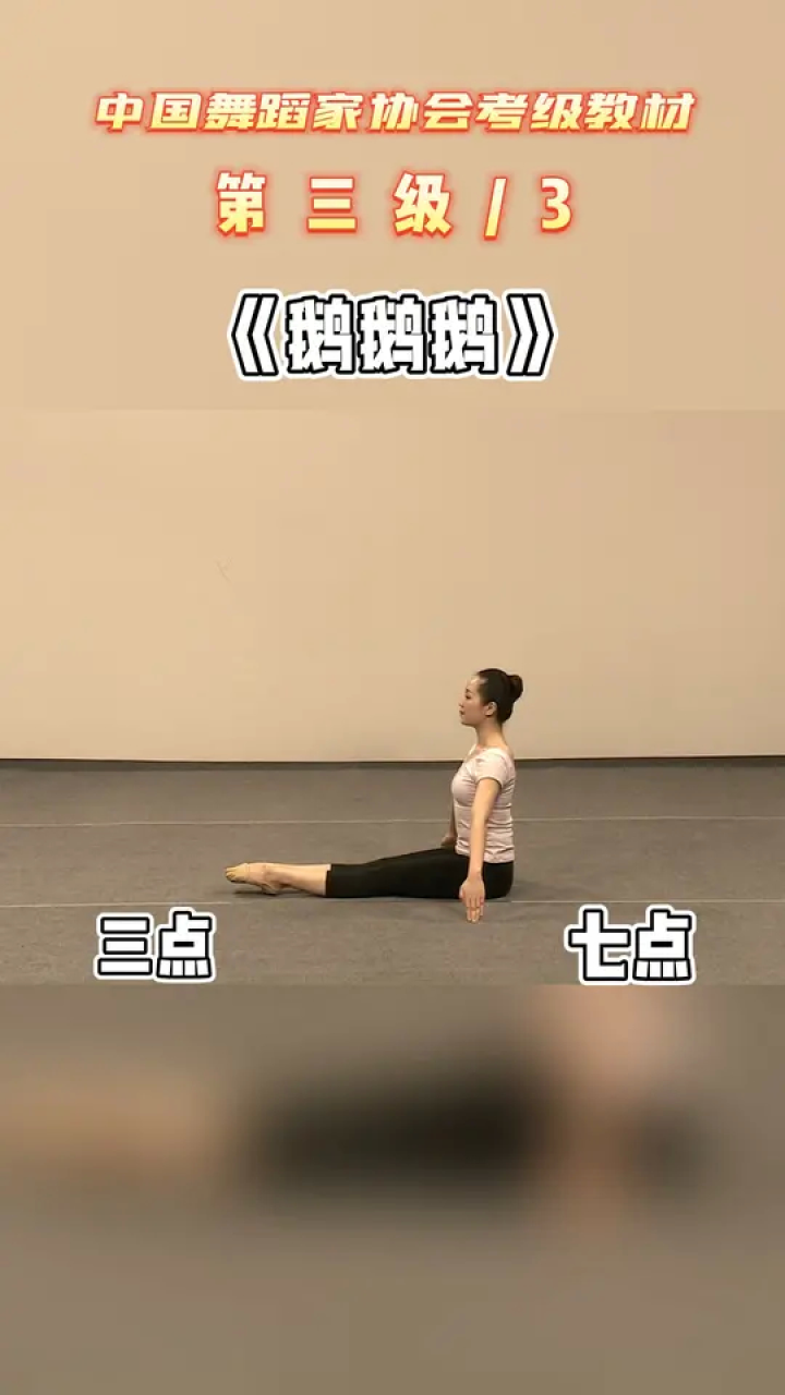 中国舞蹈家协会少儿舞蹈考级3级《鹅鹅鹅》3