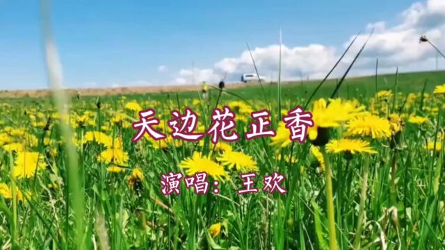 王欢演唱的歌曲《天边花正香》,请欣赏