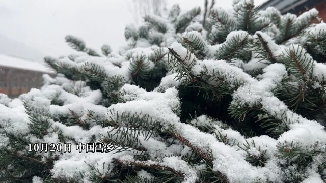 10月20日雪乡雪村下雪了