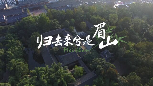 长片《归去来兮是眉山》文旅宣传片(眉山市文化广播电视和旅游局制作) 