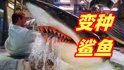 科学家利用鲨鱼做实验 ，却遭到鲨鱼的疯狂报复！最好看的鲨鱼灾难电影《深海狂鲨》