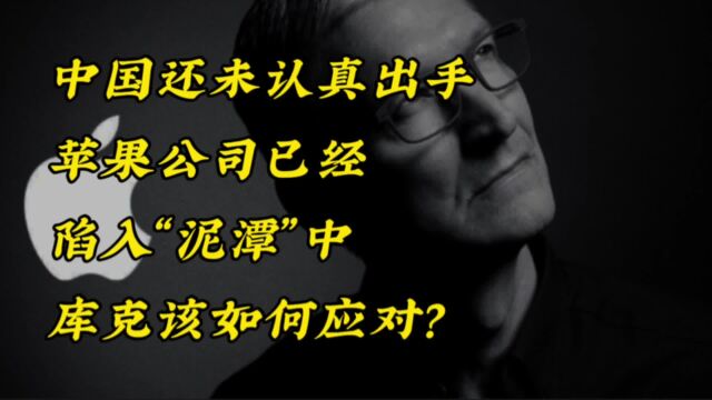 中国还未认真出手,苹果公司已经陷入“泥潭”中,库克该如何应对