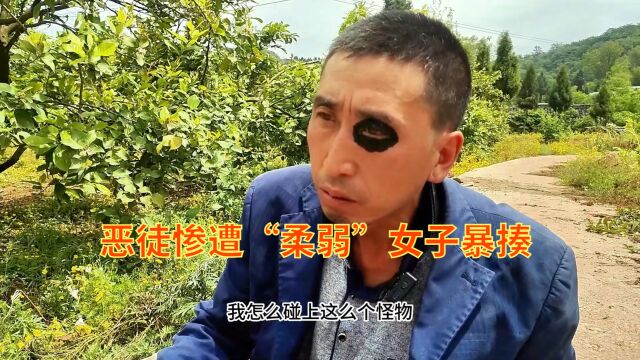 搞笑段子:古有惜才刘公“三顾茅庐”,今有贤妻护夫“三打恶徒”