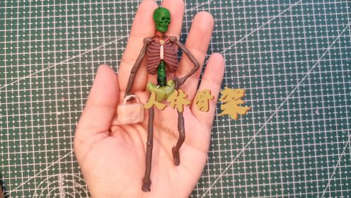 软陶人体骨架制作过程，娃娃骨架，艺用人体骨骼