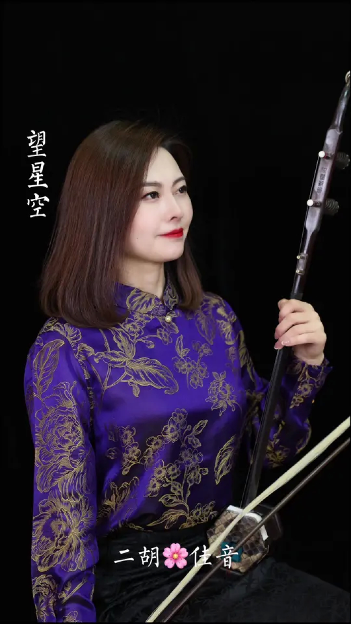 一首充满了浓浓思念的歌《望星空》～#思念 #望星空 #古风古韵 #二胡