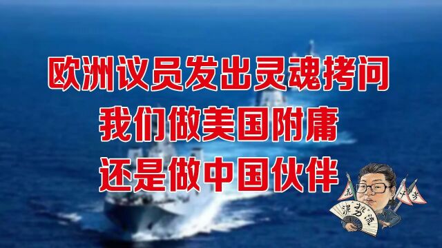 花千芳:欧洲议员发出灵魂拷问:我们做美国附庸,还是做中国伙伴?