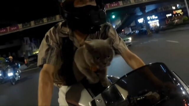 走起 小猫每天都让带去兜风 勇敢的猫咪 你想养一只吗?机车#猫咪#宠物