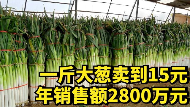 大哥巧卖比人还高的大葱,年销售额破2800万元,他是如何做到的?