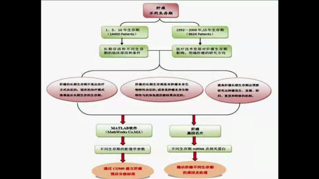 临床与科研之二:我的科研idea【李传行博主】