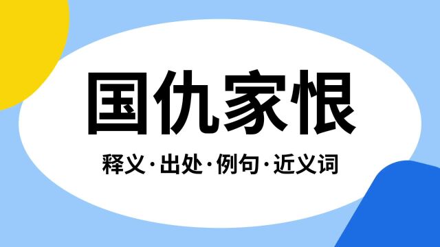 “国仇家恨”是什么意思?