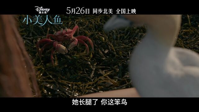 【杜比影院】5 月片单,致敬不凡!