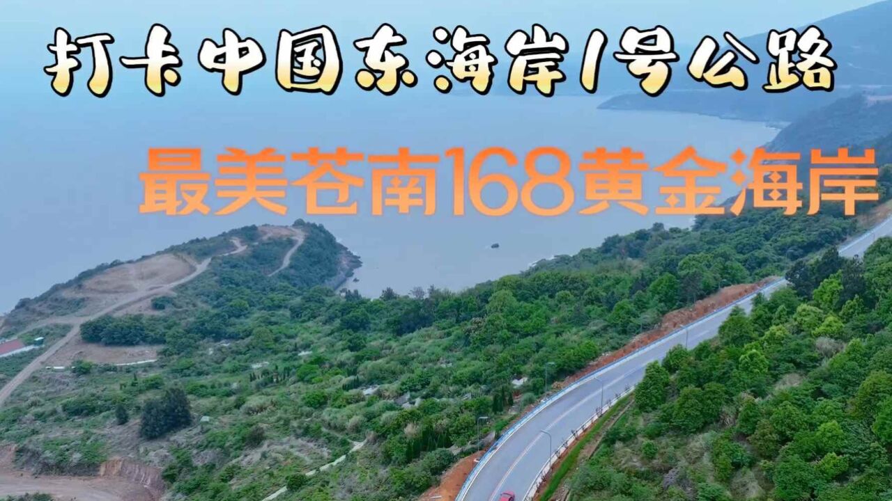 打卡中国东海岸1号公路,最美苍南168黄金海岸