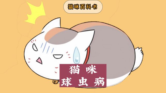 猫咪一旦感染球虫病,铲屎官要注意了