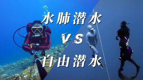 水肺潜水和自由潜水区别