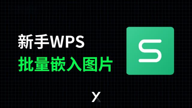 新手必学!wps怎么把图片批量嵌入到表格中