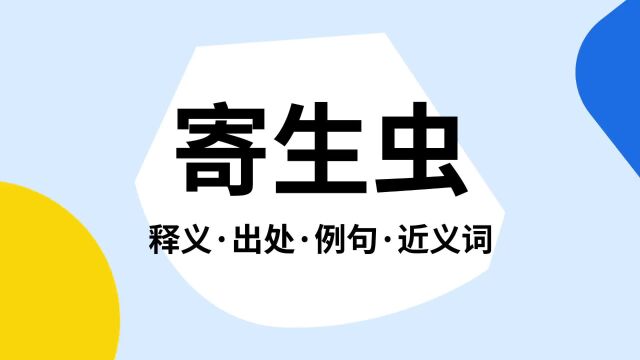 “寄生虫”是什么意思?