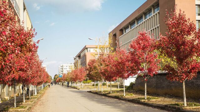 带你了解文华学院