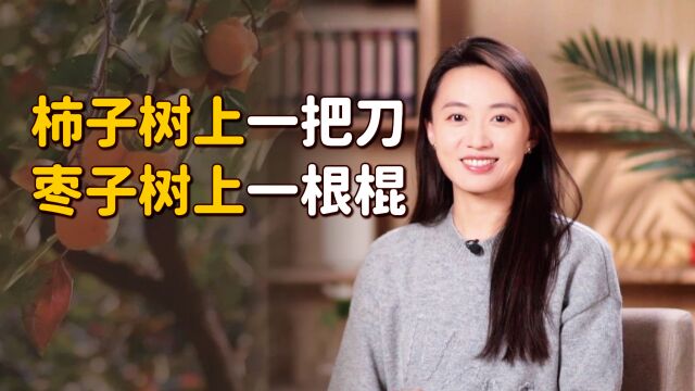 农村俗语:“柿子树上一把刀,枣子树上一根棍”,背后另有深意!