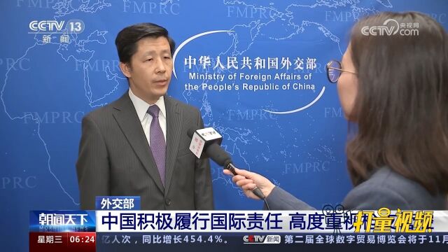 外交部:中国积极履行国际责任,高度重视枪支管控