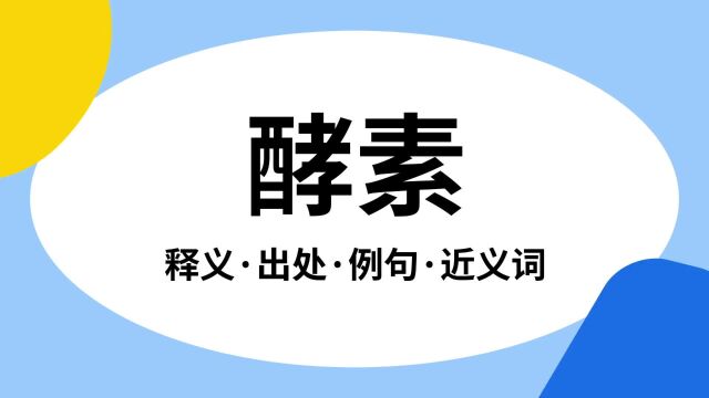 “酵素”是什么意思?