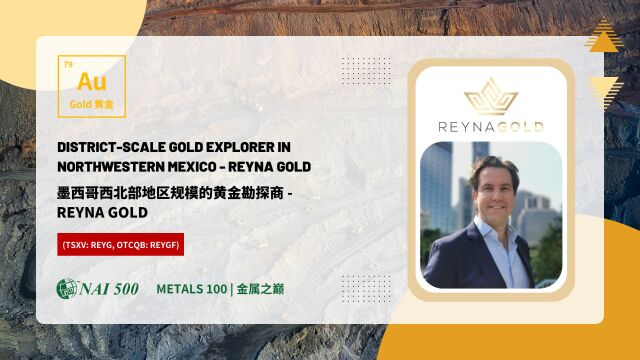 墨西哥西北部地区规模的黄金勘探商  Reyna Gold Corp. (TSXV: REYG, OTCQB: REYGF) | 金属之巅