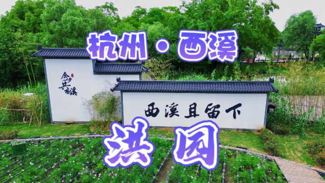 杭州西溪洪园自然风光迷人,历史文化深厚,更有江南美学沉浸体验