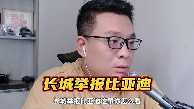 长城举报比亚迪到底咋回事.