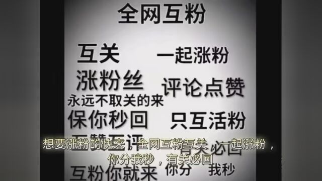 #全网互关 打破这只限流,你就是我永久的互关. #制作不易求个小爱心谢谢