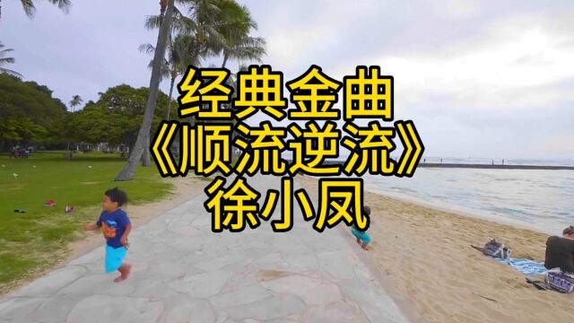 经典金曲徐小凤顺流逆流