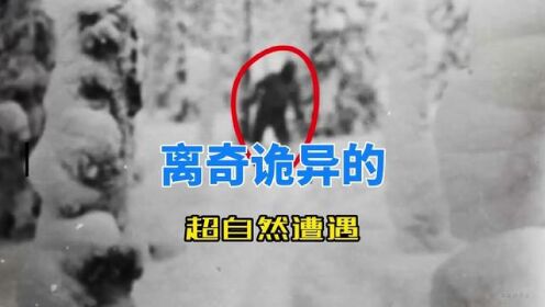离奇诡异的超自然遭遇#神秘事件#未解之谜#神秘生物#奇闻奇事#超自然现象_高清1080P在线观看平台_腾讯视频