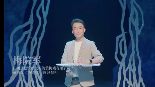 第31届中国戏剧梅花奖获得者风采展示:黄梅戏演员梅院军