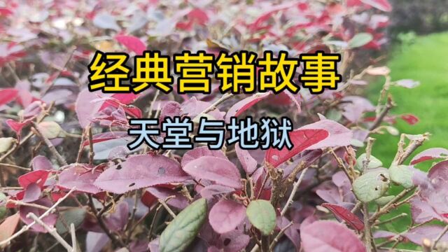 经典营销故事,天堂与地狱