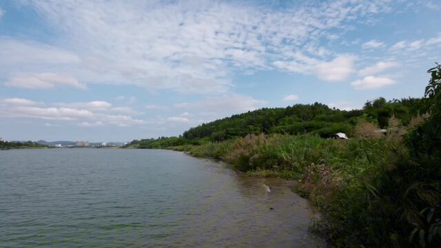 秋日序曲:南宁也有“海景”,组队到江南三津港露营,还能抛两竿