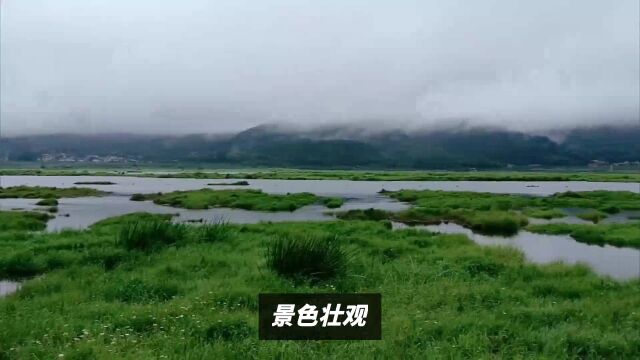 云南最美的地方是腾冲,不仅有温泉还有火山,银杏铺满街道!