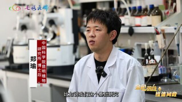 如何补齐基础研究短板?省科学技术厅:需处理好五大关系!