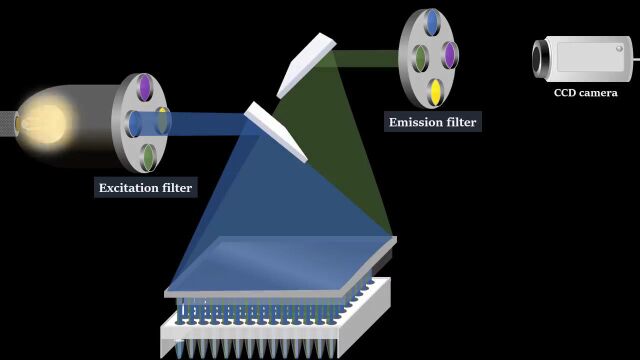 Coronavirus Test Real time RTPCR  Animation video