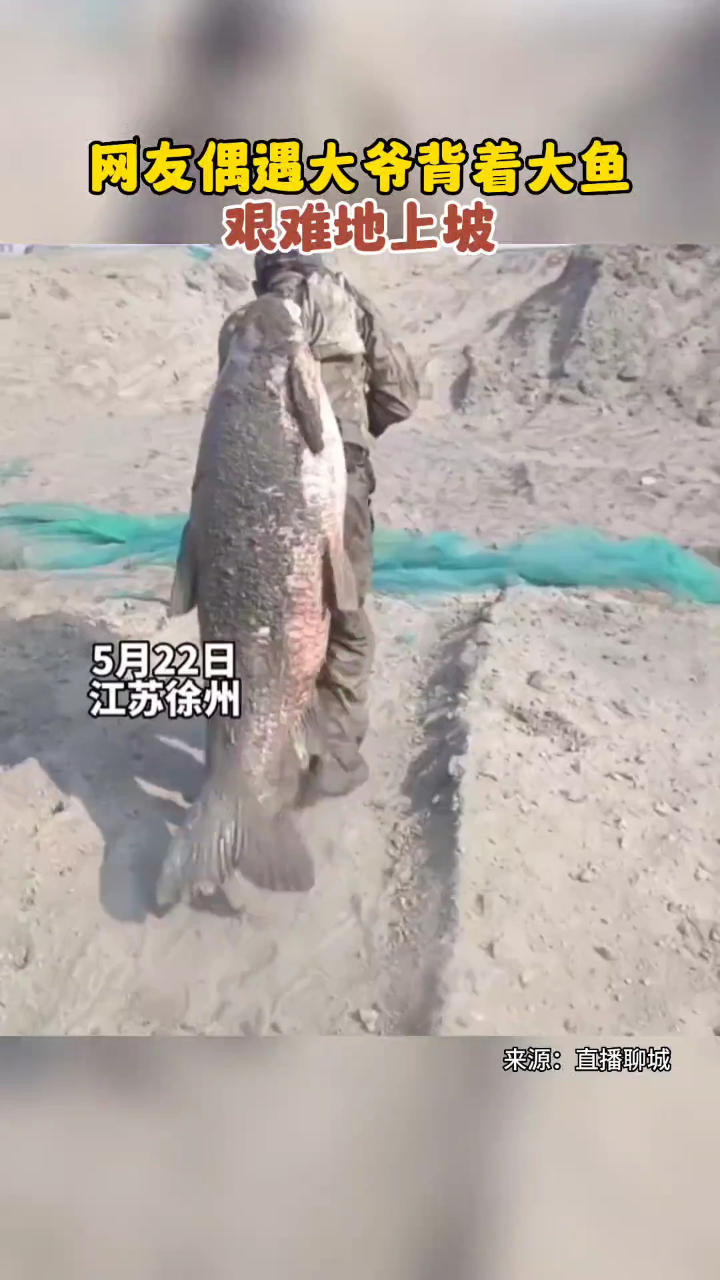 网友偶遇大爷背着大鱼,艰难地上坡.