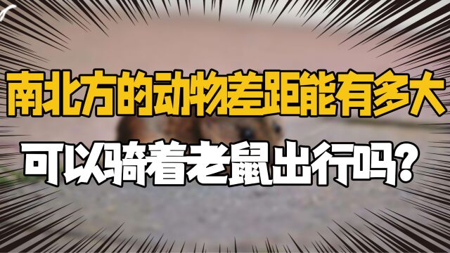 全网八字最硬的人,“弱智吧”一个人才的聚集地!简直离谱