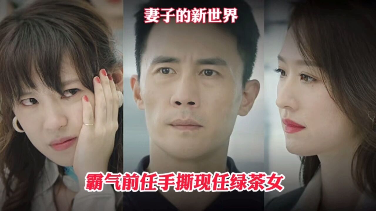 妻子的新世界:霸气前任手撕现任绿茶女,太好看了#杜淳#袁姗姗