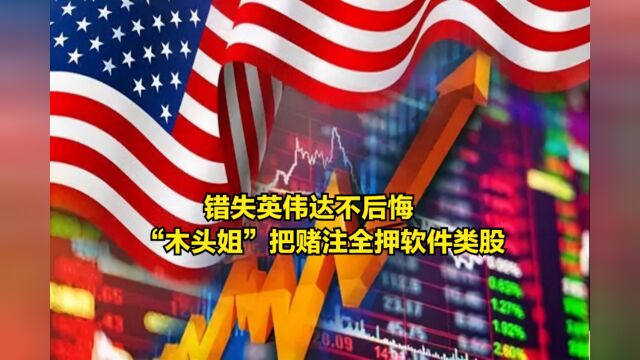 错失英伟达不后悔!“木头姐”把赌注全押在了软件类股上