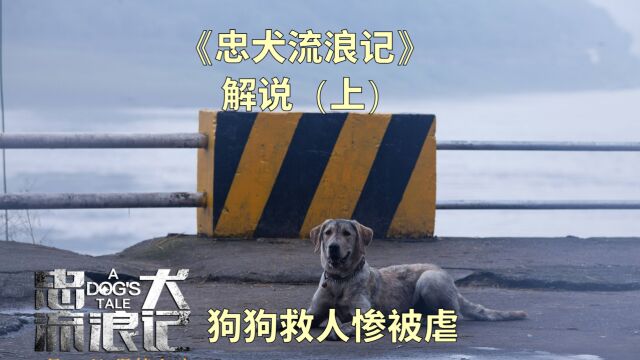 《忠犬流浪记》解说(上)