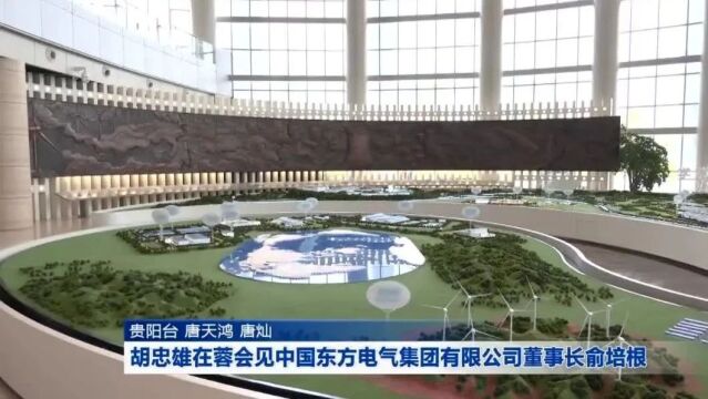 胡忠雄在蓉会见中国东方电气集团有限公司董事长俞培根