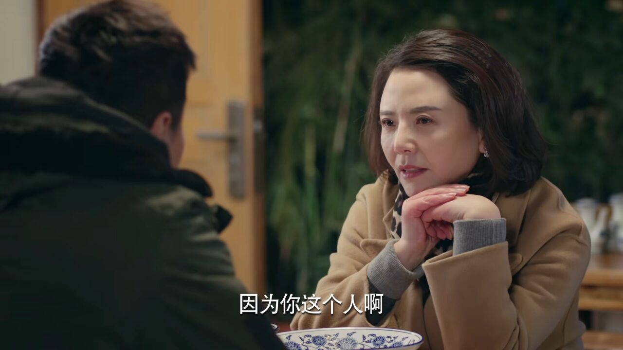 电视剧《什刹海》41集 演员王丽片段 4k